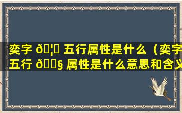 奕字 🦊 五行属性是什么（奕字五行 🐧 属性是什么意思和含义）